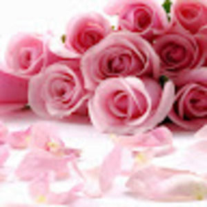 Meet your Posher, Siya